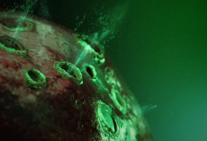 Thumbnail of Kaiser Throne project